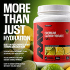 RAW Nutrition Premium Carbohydrate Fuel-N101 Nutrition