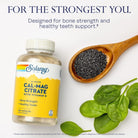 Solaray Cal-Mag Citrate 2:1 Ratio with Vitamin D-180 Vegcaps-N101 Nutrition