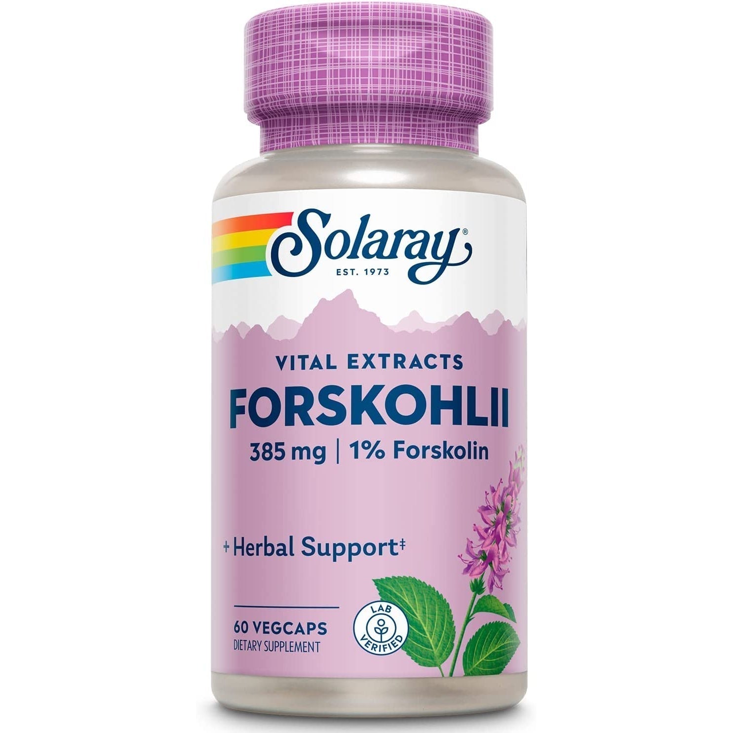 Solaray Forskohlii Root Extract 385 mg-60 Vegcaps-N101 Nutrition