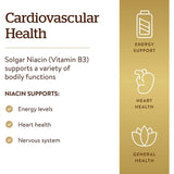 Solgar Niacin (Vitamin B3) 500 mg-100 vegetable capsules-N101 Nutrition