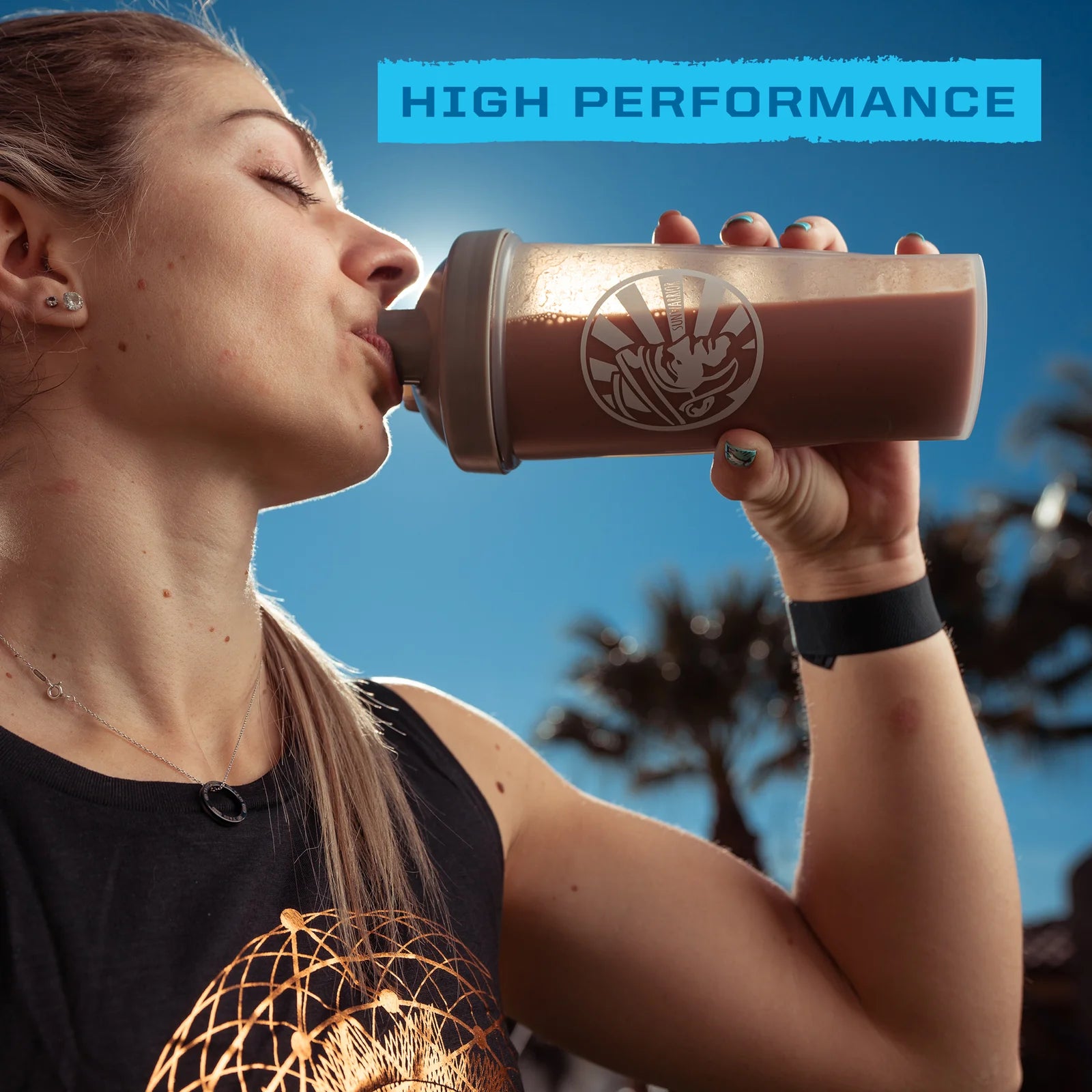 Sunwarrior Warrior Blend Organic Protein-N101 Nutrition
