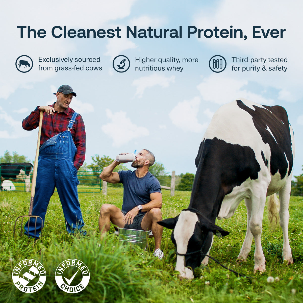 Transparent Labs 100% Grass-Fed Whey Protein Isolate-N101 Nutrition