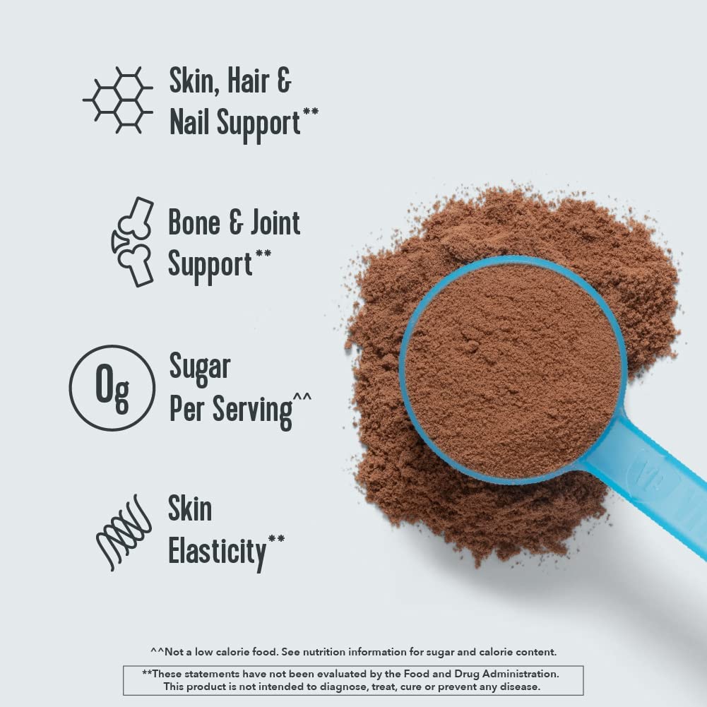 Vital Proteins Chocolate Collagen Peptides (BEST BY 16 SEPT 2026 - FINAL SALE / NO RETURNS)-N101 Nutrition