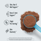 Vital Proteins Chocolate Collagen Peptides (BEST BY 16 SEPT 2026 - FINAL SALE / NO RETURNS)-N101 Nutrition